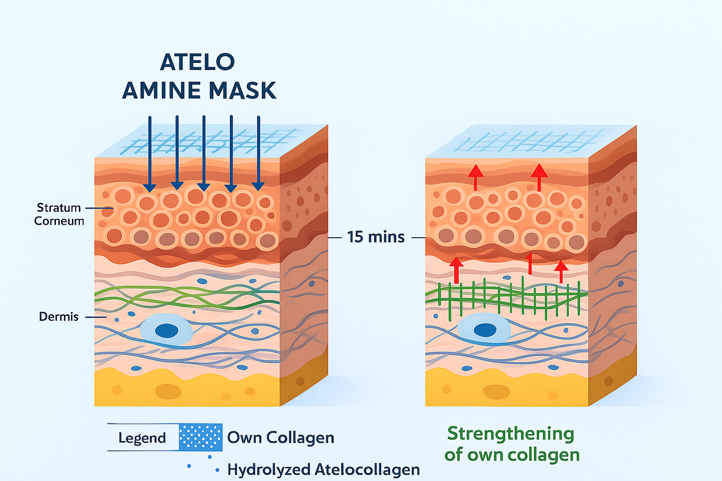 Amine Mask